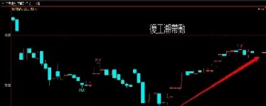 期货的技术面和基本面(期货技术与基本面对立)_https://www.hougads.com_恒指直播室_第1张