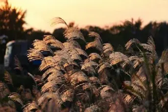 期货手续费返还到期货账户(期货交易手续费返还)_https://www.hougads.com_恒指学院_第1张