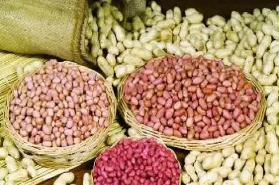 花生期货单位是公斤吗(花生期货是哪个交易所)_恒指直播室_第1张_厚德恒指期货直播室 花生期货单位是公斤吗(花生期货是哪个交易所)_https://www.hougads.com_恒指直播室_第1张