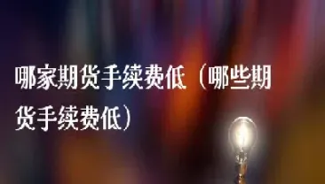 你们哪家期货的(哪家期货保证金低)_https://www.hougads.com_恒指期货_第1张