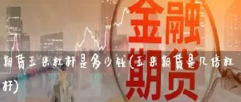 期货杠杆需要付利息吗(期货中的杠杆原理)_https://www.hougads.com_恒指直播室_第1张