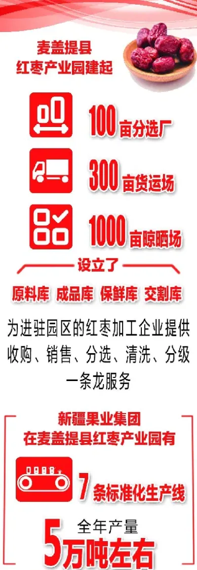 红枣期货触及涨停(红枣期货涨停是几个点)_https://www.hougads.com_恒指直播室_第1张