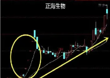 期货跳空涨停后会怎么走(期货跳空高开越过止损价会成交吗)_恒指期货_第1张_厚德恒指期货直播室 期货跳空涨停后会怎么走(期货跳空高开越过止损价会成交吗)_https://www.hougads.com_恒指期货_第1张