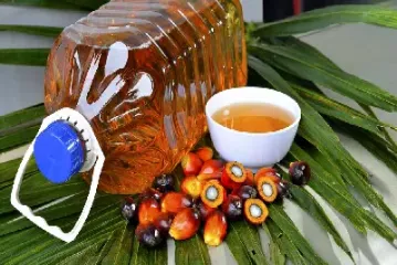 棕榈油期货近月强制平仓(棕榈油期货限仓)_https://www.hougads.com_恒指直播室_第1张