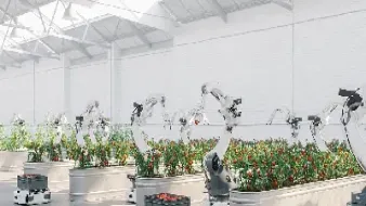 美国农副产品期货美国(美国农产品期货对国内价格影响)_https://www.hougads.com_恒指直播室_第1张