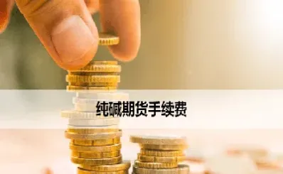 做一手大豆期货手续费多少(大豆期货合约一手几吨)_https://www.hougads.com_恒指学院_第1张