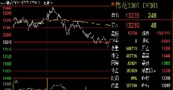 郑棉2109期货最新行情(郑棉期货价格走势)_https://www.hougads.com_恒指直播室_第1张