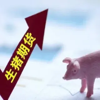 生猪期货相关个股(生猪期货最新行情)_https://www.hougads.com_恒指学院_第1张