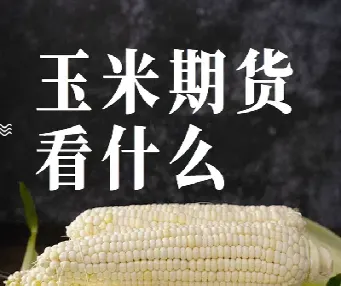 玉米和大豆期货(玉米大豆期货走势相关分析)_https://www.hougads.com_恒指直播室_第1张