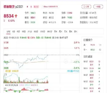 棕榈油期货历史交易数据查询(棕榈油期货交易时间表格)_https://www.hougads.com_恒指期货_第1张