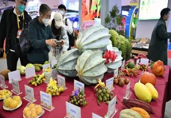 水果期货板块走强(水果期货现在都有什么水果)_恒指学院_第1张_厚德恒指期货直播室 水果期货板块走强(水果期货现在都有什么水果)_https://www.hougads.com_恒指学院_第1张