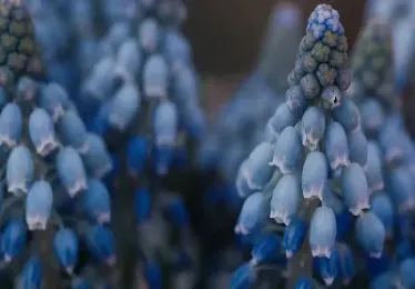 上证股指期货交易费用(股指期货交易费用多少)_https://www.hougads.com_恒指期货_第1张