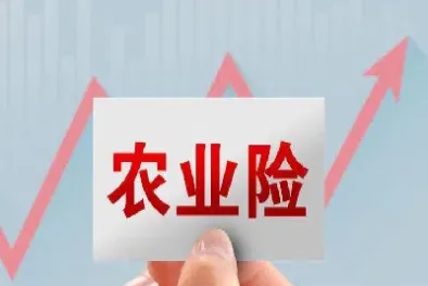 保险加期货补贴是什么(保险加期货的好处)_https://www.hougads.com_恒指学院_第1张