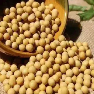 黄豆最新期货行情(黄豆最新期货行情走势分析)_https://www.hougads.com_恒指学院_第1张