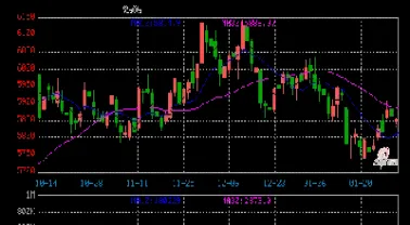 期货白糖能止跌吗(期货白糖的主要用途)_https://www.hougads.com_恒指直播室_第1张