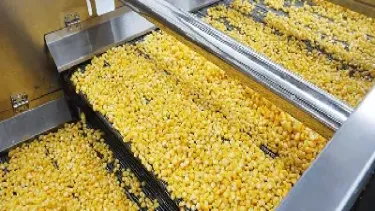 1806玉米期货(玉米期货1605)_https://www.hougads.com_恒指期货_第1张