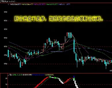国内期货风向标是看那个(国内期货风向标是看那个板块的)_https://www.hougads.com_恒指学院_第1张
