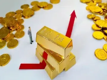 期货投资领域中(国内期货市场投资者)_https://www.hougads.com_恒指期货_第1张