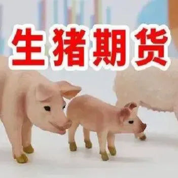 生猪期货为什么一下涨四千多(生猪期货为什么比生猪贵)_https://www.hougads.com_恒指期货_第1张