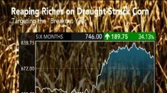 我想做农产品期货(农产品期货投资)_https://www.hougads.com_恒指期货_第1张