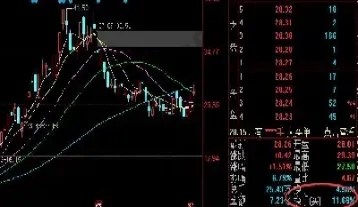 期货换手率高低(期货换手率指标怎么看)_https://www.hougads.com_恒指学院_第1张