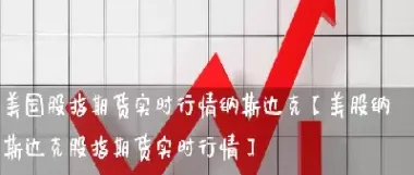 纳期货实时行情(纳指100实时行情)_https://www.hougads.com_恒指学院_第1张