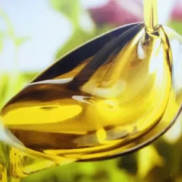 期货里面的植物油包含什么(期货的燃料油是什么油)_https://www.hougads.com_恒指学院_第1张