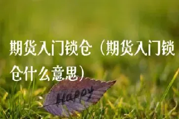 铝期货锁仓是什么意思(期货锁仓和反手有什么区别)_https://www.hougads.com_恒指学院_第1张