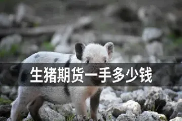 生猪期货折算一斤(生猪期货推算生猪价格)_恒指直播室_第1张_厚德恒指期货直播室 生猪期货折算一斤(生猪期货推算生猪价格)_https://www.hougads.com_恒指直播室_第1张