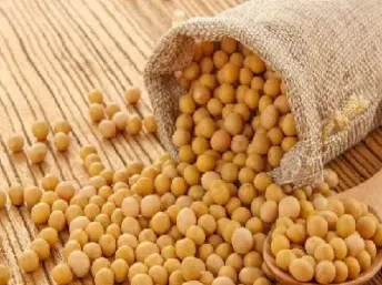 大豆期货指的是什么(期货大豆一大豆二有什么区别)_https://www.hougads.com_恒指期货_第1张