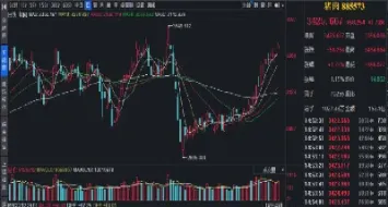 生猪期货上涨和猪肉股的关系(猪肉价格涨生猪期货跌预示什么)_恒指直播室_第1张_厚德恒指期货直播室 生猪期货上涨和猪肉股的关系(猪肉价格涨生猪期货跌预示什么)_https://www.hougads.com_恒指直播室_第1张