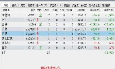 期货访谈记录(期货现场访谈)_https://www.hougads.com_恒指学院_第1张