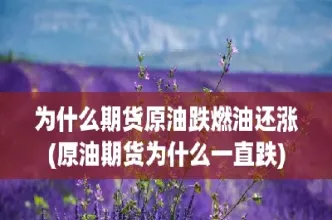 上海燃油期货是指什么(上海燃料油期货)_https://www.hougads.com_恒指直播室_第1张