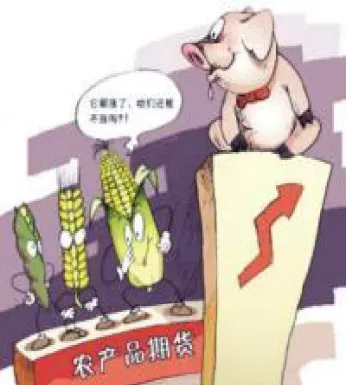 美国生猪期货交割规则是什么(美国猪肉期货交割日期)_https://www.hougads.com_恒指学院_第1张