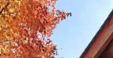 期货交易什么最重要(期货交易什么品种比较好)_https://www.hougads.com_恒指学院_第1张