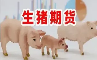 生猪期货2301是什么意思(生猪期货2301合约第一天交易时间)_https://www.hougads.com_恒指期货_第1张
