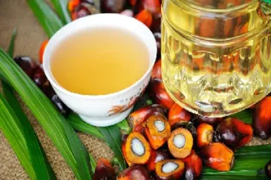 棕榈油期货有哪些(棕榈油期货基本面分析)_https://www.hougads.com_恒指期货_第1张