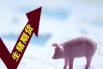 生猪期货适时行情(生猪期货适时行情分析)_https://www.hougads.com_恒指直播室_第1张
