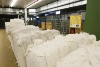 期货市场上的纸浆是什么意思(期货纸浆与哪个品种相关)_https://www.hougads.com_恒指直播室_第1张