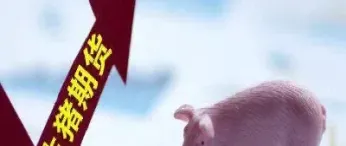 生猪期货涨了为何猪价不涨(生猪期货价格最新行情)_https://www.hougads.com_恒指学院_第1张