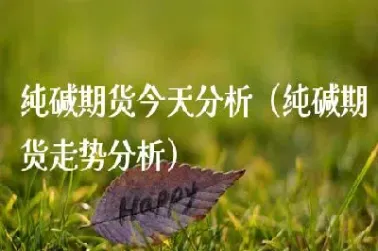 纯碱期货1手是多少(纯碱期货一手多少)_https://www.hougads.com_恒指直播室_第1张