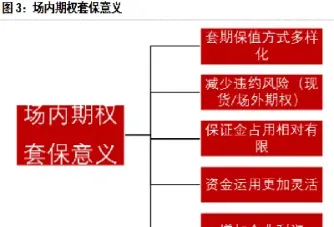 期权与期货的保值(期货和期权保值的区别)_https://www.hougads.com_恒指学院_第1张