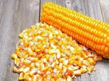 玉米期货的优缺点(玉米期货受什么影响大)_https://www.hougads.com_恒指学院_第1张