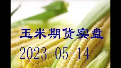 期货玉米技术分析(期货玉米技术分析报告)_https://www.hougads.com_恒指直播室_第1张