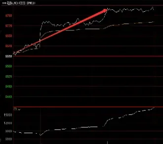 燃油期货因何大跌(燃油期货涨跌幅限制是多少)_恒指学院_第1张_厚德恒指期货直播室 燃油期货因何大跌(燃油期货涨跌幅限制是多少)_https://www.hougads.com_恒指学院_第1张