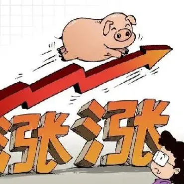 生猪期货市场行情(生猪期货2503)_https://www.hougads.com_恒指直播室_第1张