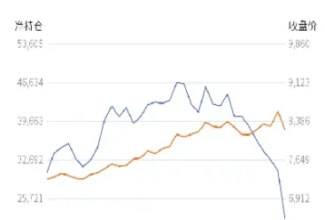 棕榈油期货最多持仓多少手(棕榈油期货持仓)_https://www.hougads.com_恒指期货_第1张