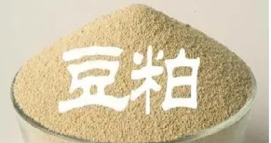 豆粕期货和豆粕期权(豆粕期权怎么算收益)_https://www.hougads.com_恒指学院_第1张