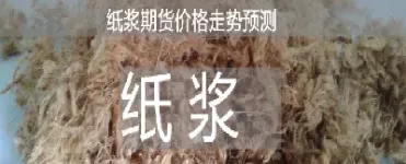 快速了解纸浆期货(期货纸浆最新消息)_https://www.hougads.com_恒指期货_第1张