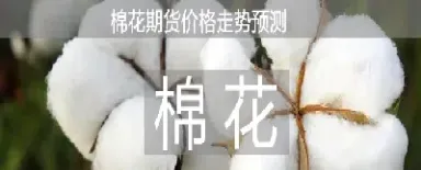 期货棉对杂质有要求吗(期货棉花是籽棉还是棉絮)_https://www.hougads.com_恒指学院_第1张